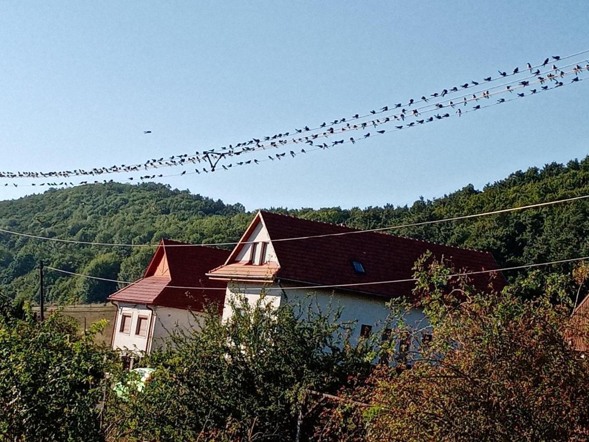 Kaláris Vendégház Hollókő Exterior foto